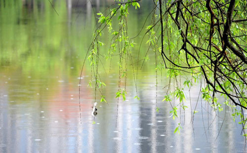 雨中的化学守护 —— 澳力迈商贸化工原料与洗涤剂原料的应用实践